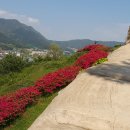 다박솔 | 고창읍성