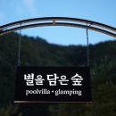 별을 담은 숲 이미지