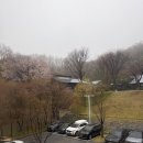 게스트하우스 | [도고숙소] 천안아산 단체 연수 장소 추천, 교원 도고연수원 솔직후기 :)