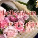 베르세종 네이버블로그