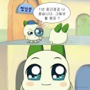 [부산여행|국내여행|여름휴가]mbti PPPP의 무계획 부산여행 가보자고🤩_(1)