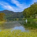 강가의아침 이미지