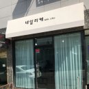 네일리케 이미지
