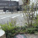 11260-3-65-4 | 다카야마 카페 맛집 아침밥은 여기서 추천! 4-65 게로 온천하러 이동 : )