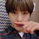 골드니스 이미지