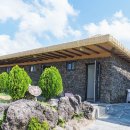 귀빈펜션 | 제주 성산 펜션 오션뷰 찾는다면, 호랑호랑펜션을 추천하는 이유