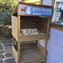 어린이 소리극 <말하는 원숭이> | 제주서쪽가볼만한곳 아이랑 동물체험 화조원