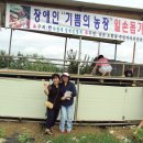 기쁨농장 Daum카페