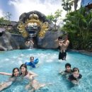 파드마투어 이미지