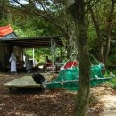 피앗농장 이미지