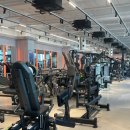 쿠키짐 | 운동 루틴 제대로 돌리기 좋은 오송 쿠키짐 후기