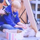 다정한고양이