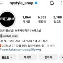 니스타일스냅