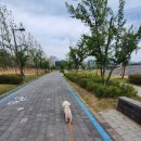 나주 혁신도시 &#39;할멈탕수육김밥&#39; 포장, &#39;빛가람호수...산책, 무안 &#39;장터남악점&#39; 게장밥 포장 후기-220604