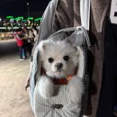 7초소앞 화장실 | 부산 요트 투어 요트와 부산 데이트 코스로 완벽한 ‘요트와’ 추천!!!