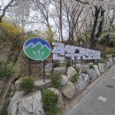 [후기] 2025 관악구민 체육대회