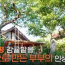 정원집 이미지
