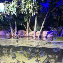 서호유치원 | [잠실 롯데월드몰 아쿠아리움]평일 오후 방문 후기 주차 및 티켓 요금 할인 꿀팁