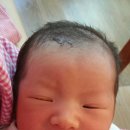 에덴모자 이미지