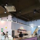 전주애견유치원 몽카롱 이미지