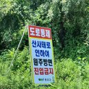 동당미 계곡 캠핑장 이미지