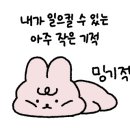 멍패밀리 인천애견유치원 애견호텔 이미지