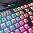 수원-0057 이미지