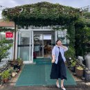 월드컵패밀리(아)경로당 | 8월의 제주 세 모녀의 제주여행 제주신라호텔 수영장 조식 후기