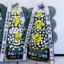 웰니스플라워 이미지