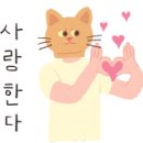 성심전기조명