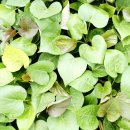 무석 농장 이미지