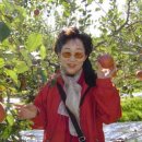 과수원 이미지