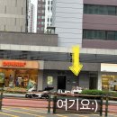 가만히꽃 이미지