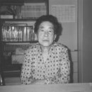 다니다 주식회사 이미지