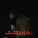 개꿈 | 이거 꼭 낮술 먹고 꾼 개꿈 같네 / 워터밤 서울 2026 후기
