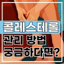 LDL 콜레스테롤 수치 낮추기 성공한 노하우 소개