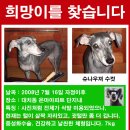 남현동-4 이미지