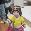 돌끝해물 이미지