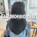 신울산마트 | 울산 신정동 미용실 타로헤어바이하율 클리닉 추천