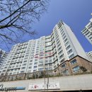 퀸덤 1차 아인슈타인 이미지