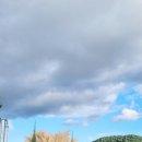 울산 제이앤독 애견샵 | 울산 태화동 애견동반 식당 라자냐 후기 아트박스 산리오 천원득템한 일상