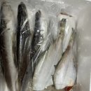 찐수산창원 이미지