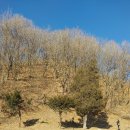 마현 1리 이미지