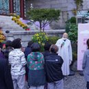 (주)혜성관광 이미지