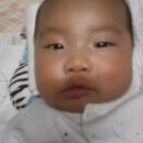 바다사랑투 이미지