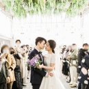 달하우스 이미지