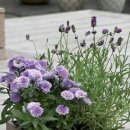 더나은PC 이미지