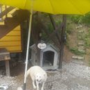 밸마운트 이미지