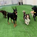 새마을 유치원 이미지