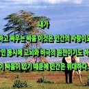 자연 + 인간 + 이미지